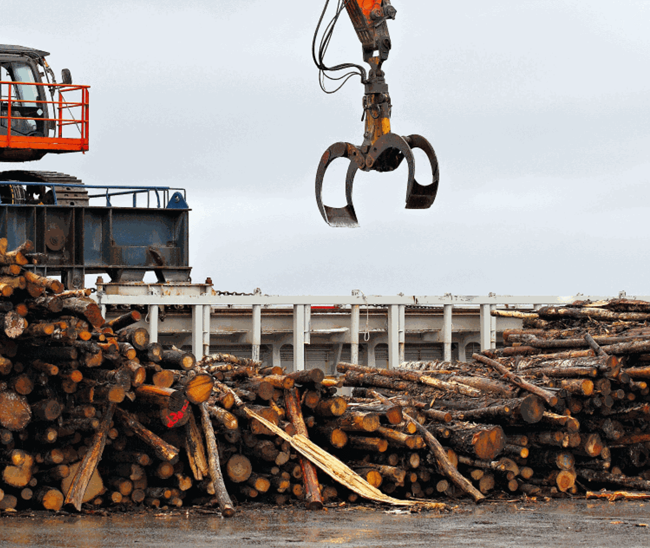 Crane above pile of timber